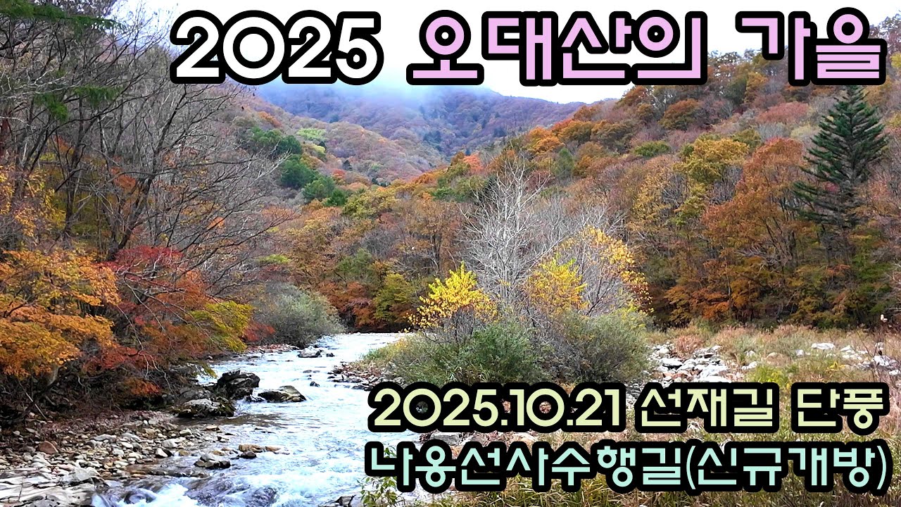 2025 오대산의 가을 / 상원사-비로봉-나옹선사수행길-선재길-월정사 / 21km 순례길