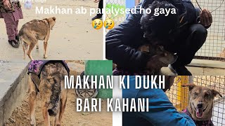 Makhan ki Dukh bari kahani ?|| makhan Hamara pass rampur ￼