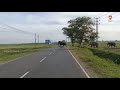 A huge number of elephants crossing the road in srilanka   lankan guru