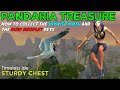 Sturdy chest  timeless isle treasure