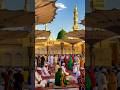 Islamic status video 🌹🌹🌹🌹#wqbonsai #hoidapthehinh #viralshorts #cgsong #beautiful #new #cute #doctor