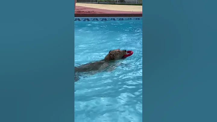 Pool time with Isabel 2020
