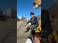 人間とハトの危機察知能力の差がとてもよくわかる動画 #shorts