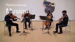 Musiqa | Wild Life