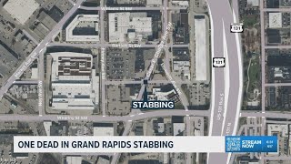 18-year-old killed in Grand Rapids stabbing