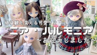 mqdefault.jpg