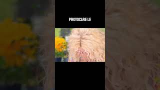 La Notizia Ha Colpito Antonella Clerici Dritta Al Cuore Durante La Diretta