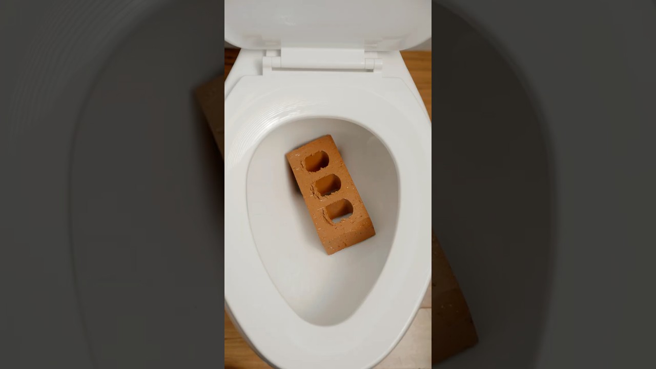 Seriously, This Toilet Paper Is HUGE!