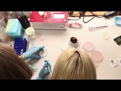 YouTube video
