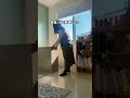 下の子あるある🤣💨 お兄ちゃんの場所だけは絶対に譲らない問題！