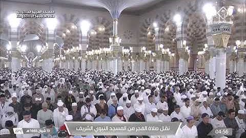 صلاة الفجر من رحاب المسجد النبوي الشّيخ محمّد برهجي ماتيسر من سورة النحل يوم الخميس ١٩ شوال ١٤٤٦