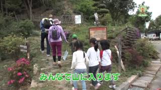 みんなの木 和歌山県立森林公園 根来山げんきの森 Youtube