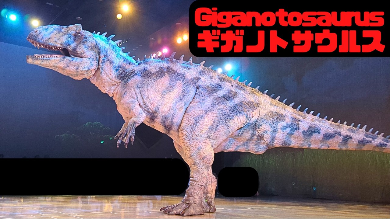 化石giganotosaurus 骨董 Shin-Chan フタマタ シカクワ用 古玩 水石