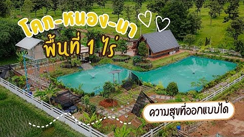 พาชมโคกหนองนาพื้นที่ 1 ไร่ ความสุขที่ออกแบบได้ #โคกหนองนาโมเดล #เกษตรอีสานยุคใหม่ #เกษตรผสมผสาน
