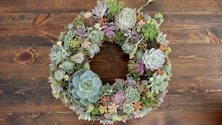 Succulent Wreath // Garden Answer