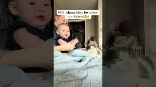 #cat #baby #catandbaby #5monthsbaby #kitten #mom