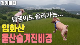 태화저수지 영상