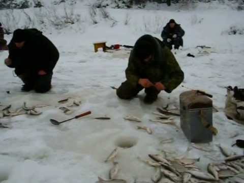 Рыбалка голубая нива