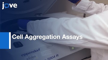 Cell Aggregation Assays to Evaluate ligand binding | Protocol Preview