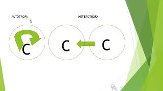 BIOLOGÍA TEMA LOS 5 REINOS DE WHITAKER