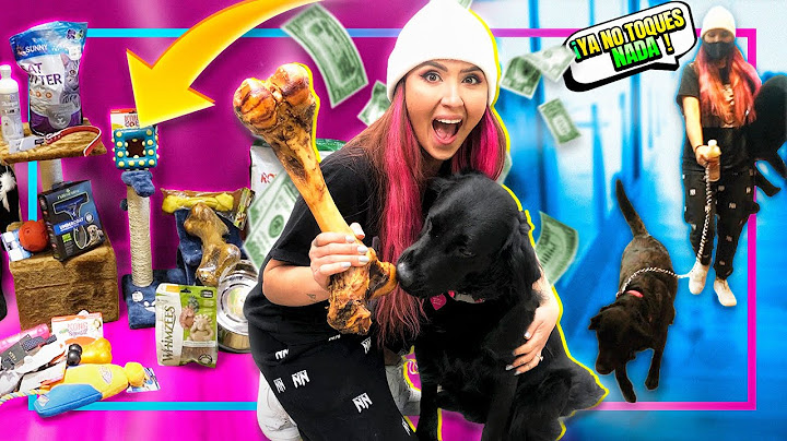 COMPRO TODO LO QUE MI PERRITA TOCA EN LA TIENDA 😱