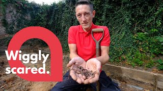 Gardener who developed phobia of worms is cured by hypnotherapy | SWNS