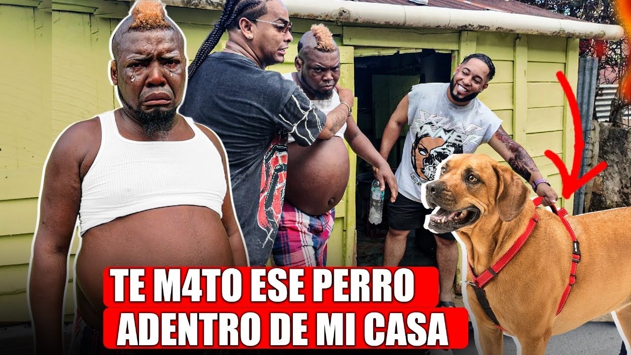 TE M4TO ESE PERRO ADENTRO DE MI CASA