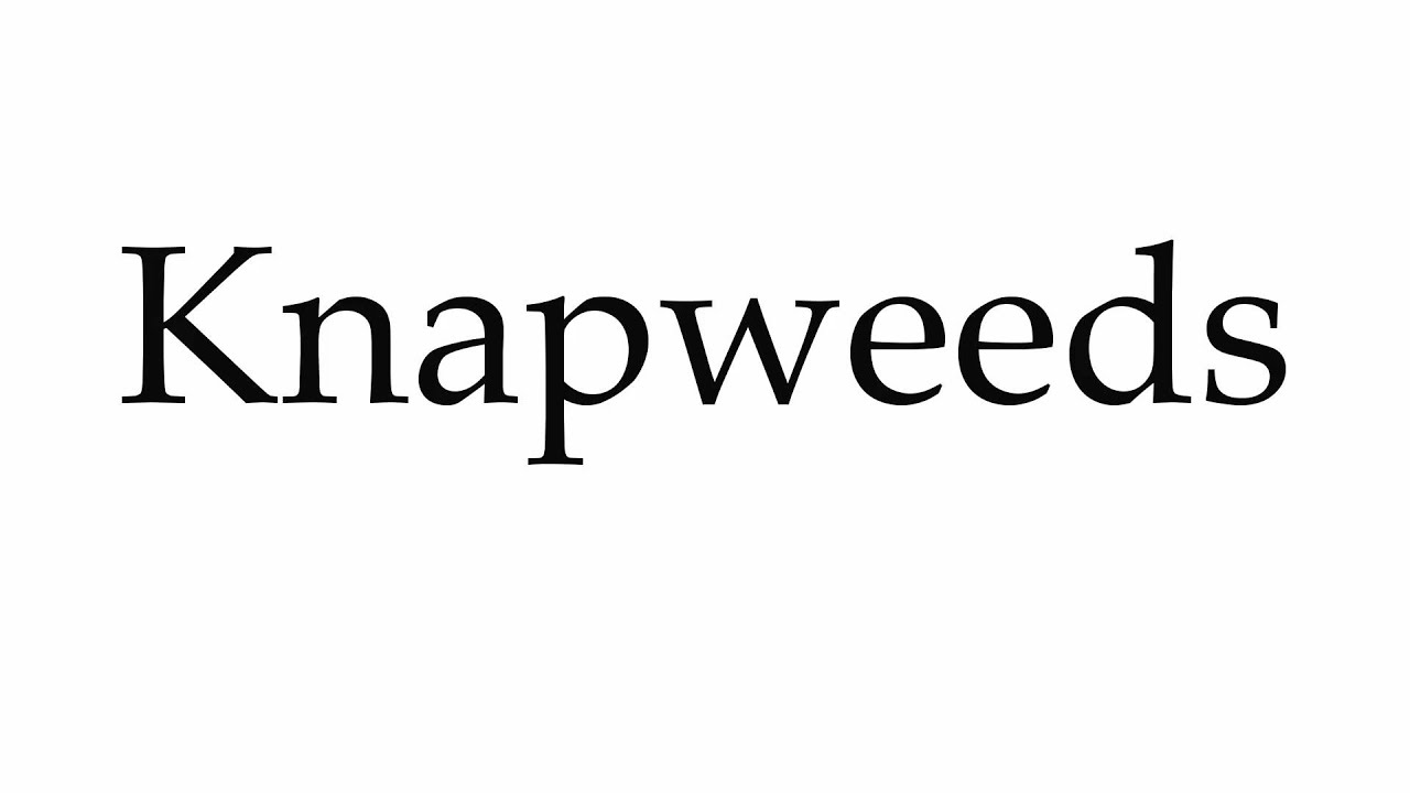 How to Pronounce Knapweeds