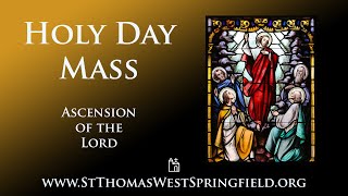 Holy Day Mass Thursday, May 9, 2024 by St. Thomas the Apostle West Springfield 30,573 views 7 days ago 24 minutes