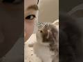猫がキスする理由