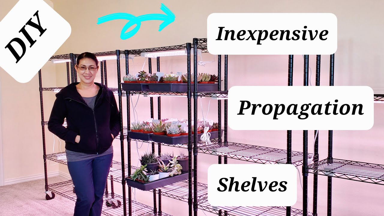 Setting up a Propagation Station. Inexpensive, easy and quick set up ...