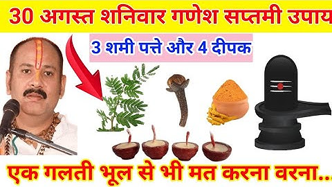 30 अगस्त शनिवार गणेश सप्तमी को 3 शमी पत्ते वाला उपाय जरुर करे || Pradeep Ji Mishra