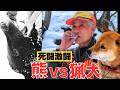 【76歳・猟犬とクマ】激闘！猟犬VS熊