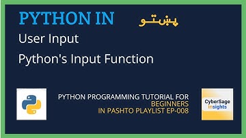 User Interaction: Python