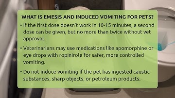 What Is Emesis And Induced Vomiting For Pets? - Ask A Pet Vet