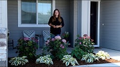 Planting a Front Garden Bed for a Friend! ? ? // Garden Answer 