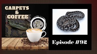 Baby's First Reptile Show  Carpets & Coffee #92