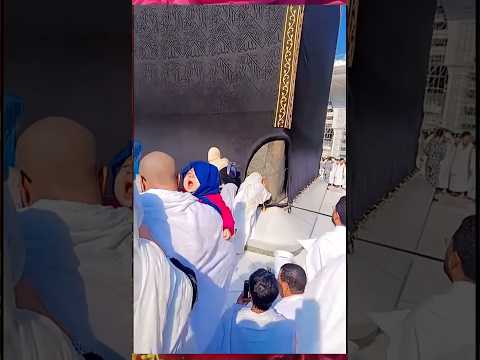 يا ربي مصطفى       