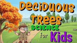 deciduous trees science kids