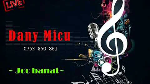 Dany Micu - Joc banat