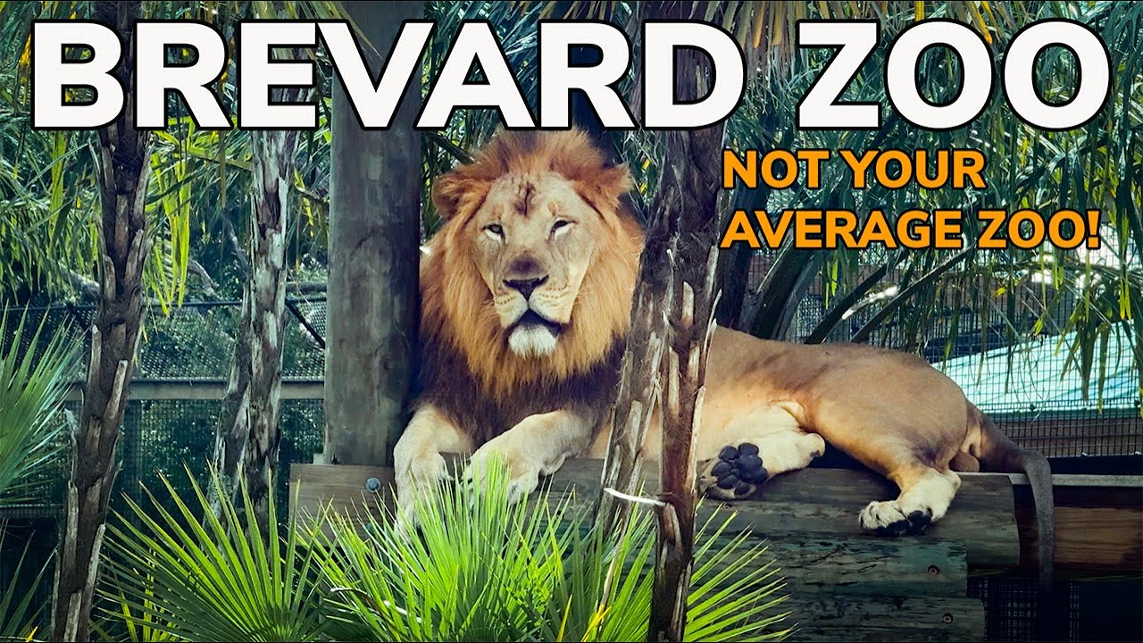 Brevard Zoo | Florida’s Most Unique Zoo Experience