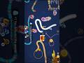 worms zone magic gameplay shorts short viral trending 