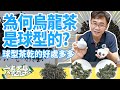 【六奉茶學】為什麼烏龍茶要做成球型？台灣烏龍茶製成球型的發展及好處！