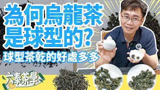 【六奉茶學】為什麼烏龍茶要做成球型？台灣烏龍茶製成球型的發展及好處！