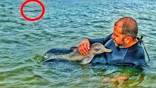 Man saved a baby dolphin, and then something shocking happened!