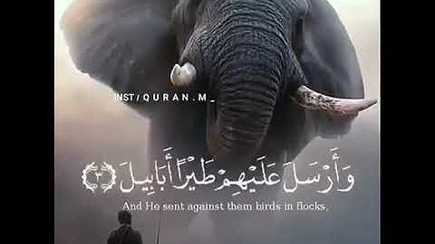 القرأن الكريم/ألم تر كيف فعل ربك باصحاب الفيل/سورة الفيل