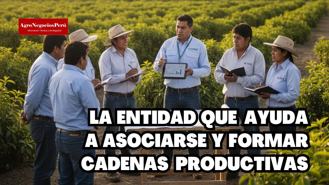 Una entidad del Estado ayuda a pequeños productores a asociarse y conseguir financiamiento