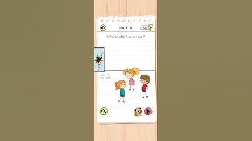 Level 114 - Who broke the mirror | Brain Test - All stars | #walkthrough #braintest