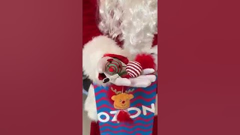 sonya found out that Santa is not real cat fanny video😺😺😺😺