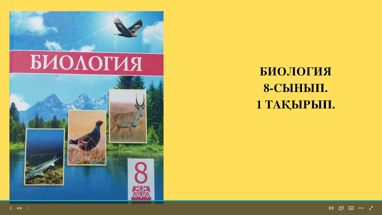 Қатал жұдырықтар және пролапс